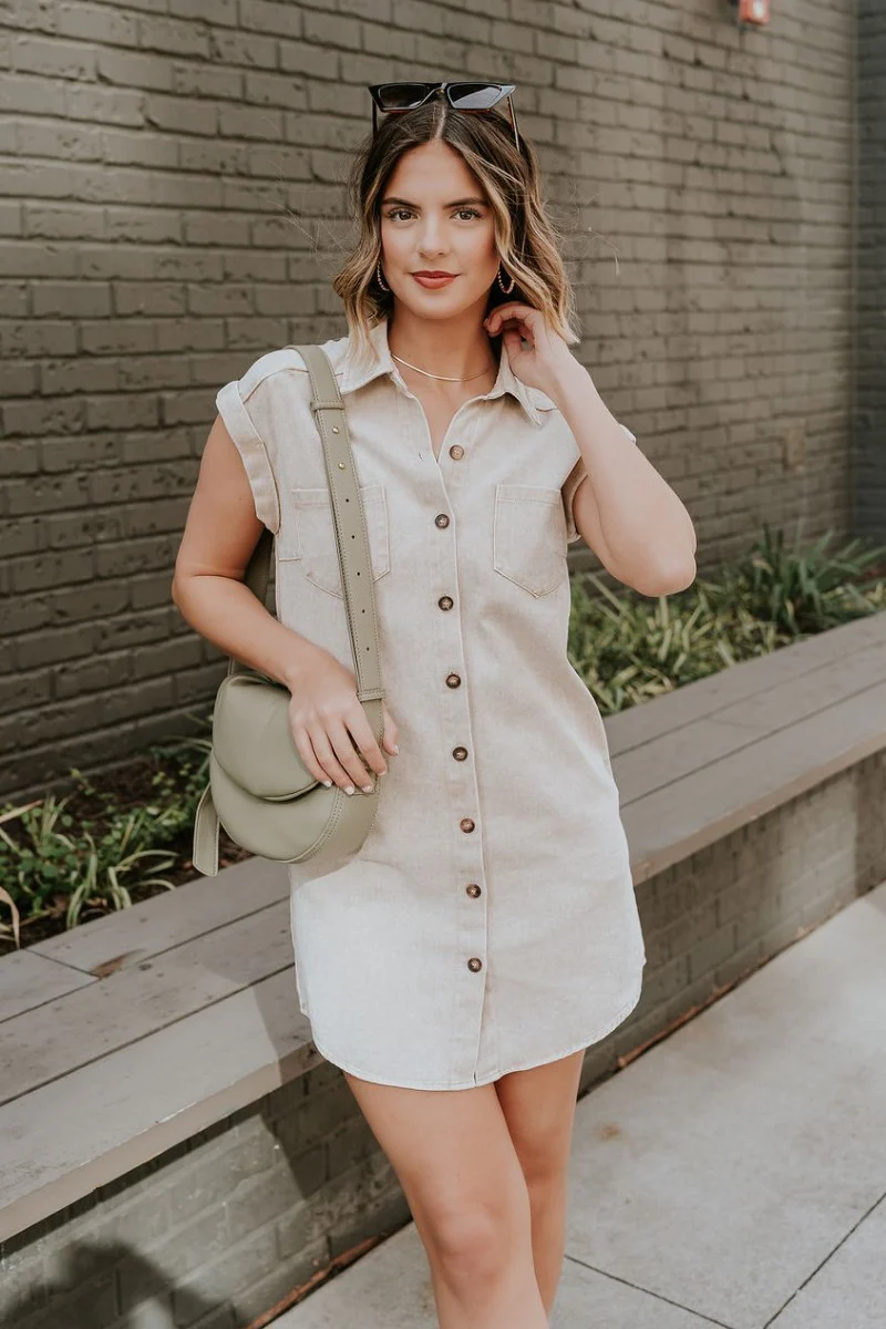 Alexia Taupe Denim Button Up Mini Dress