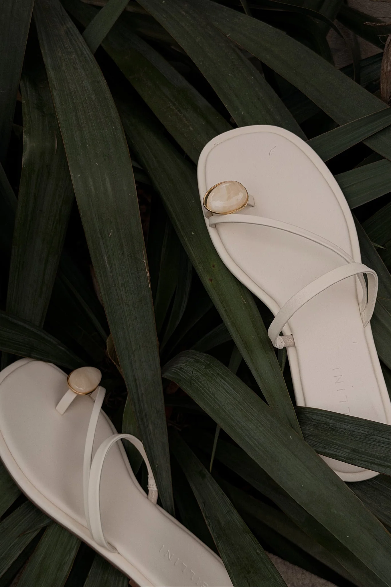 Billini Orvell Bone Thong Ring Sandal - Image 2