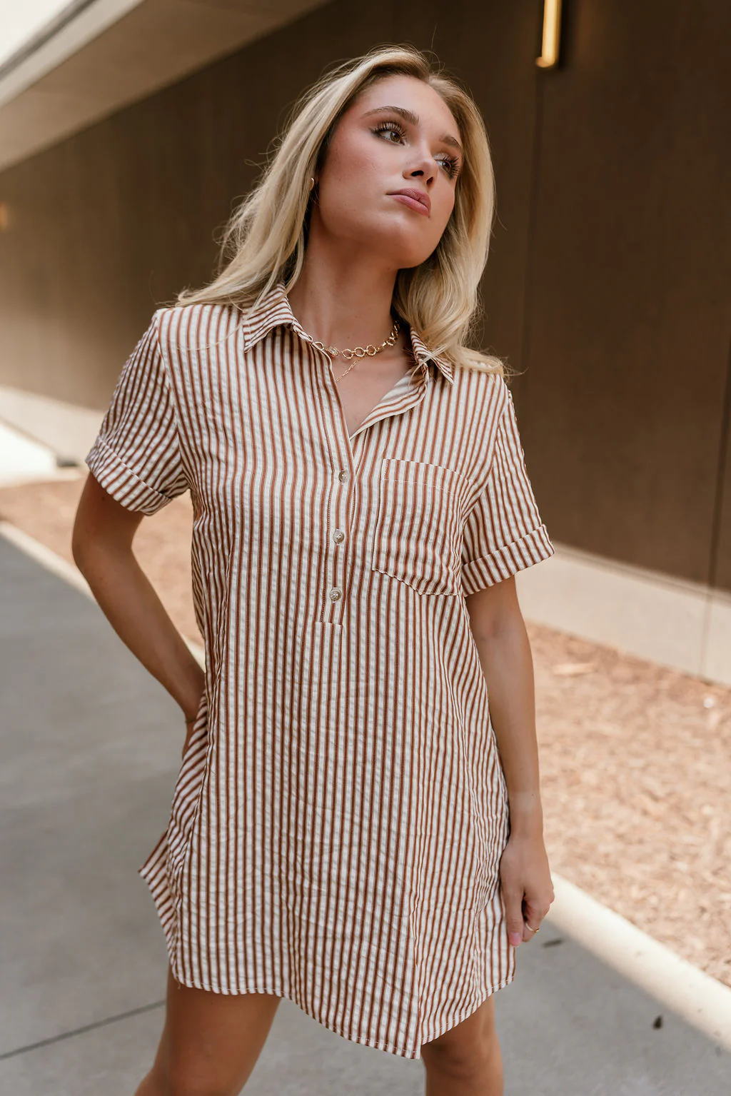 Carrie Brown & Cream Striped Mini Dress - Image 4
