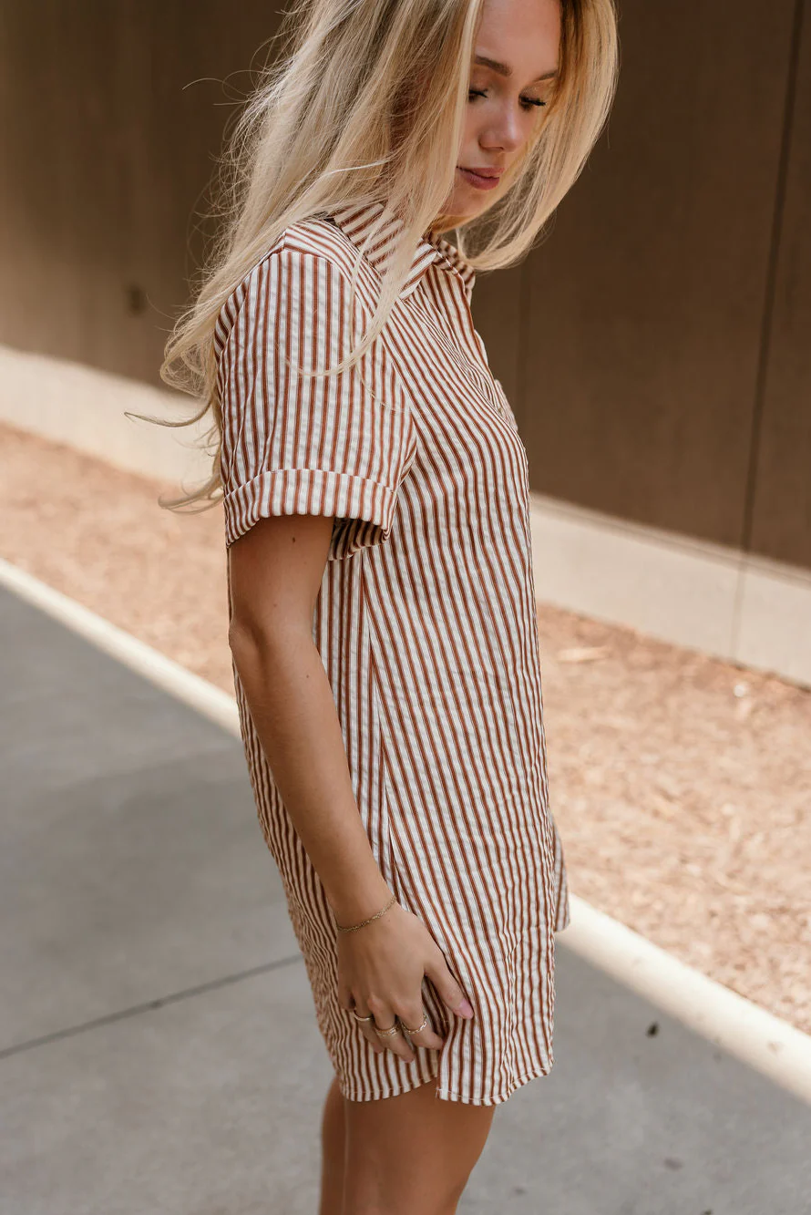 Carrie Brown & Cream Striped Mini Dress - Image 7