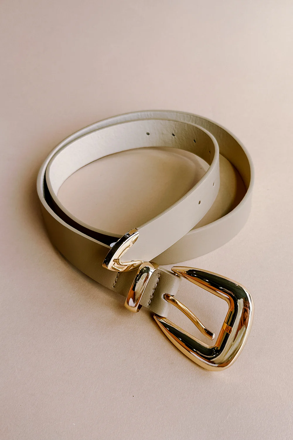 Elizabeth Taupe & Gold Buckle Belt - Image 2