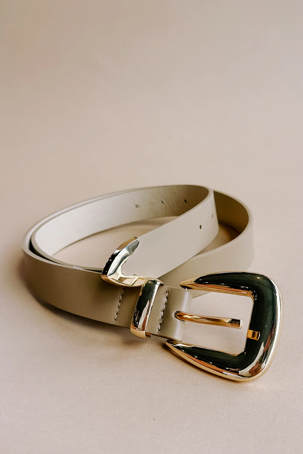 Elizabeth Taupe & Gold Buckle Belt - Image 3