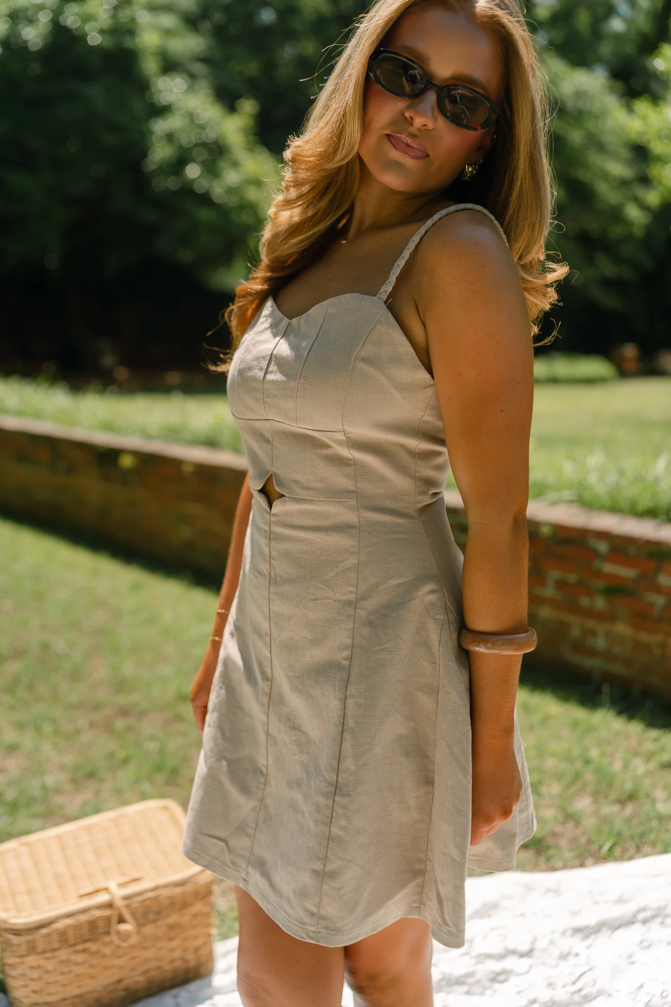 Giavanna Taupe Mini Dress - Image 5