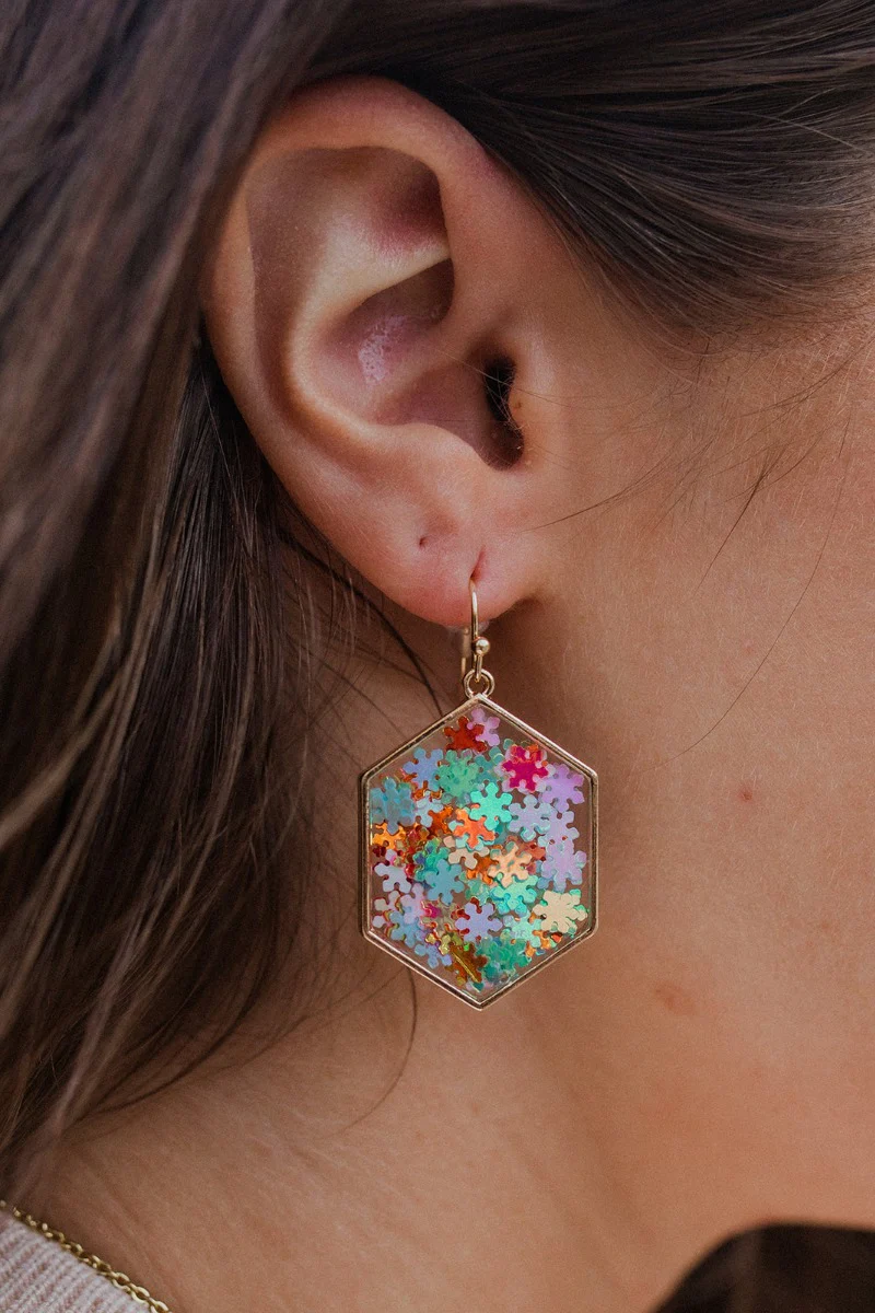 Snow Day Earrings