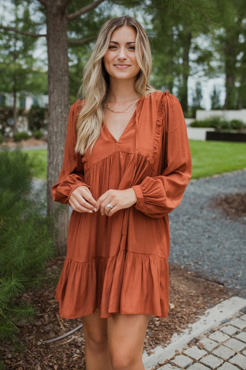 Line Of Sight Dress In Rust - Image 2