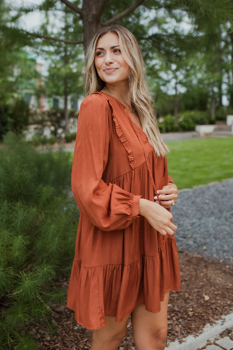 Line Of Sight Dress In Rust - Image 4