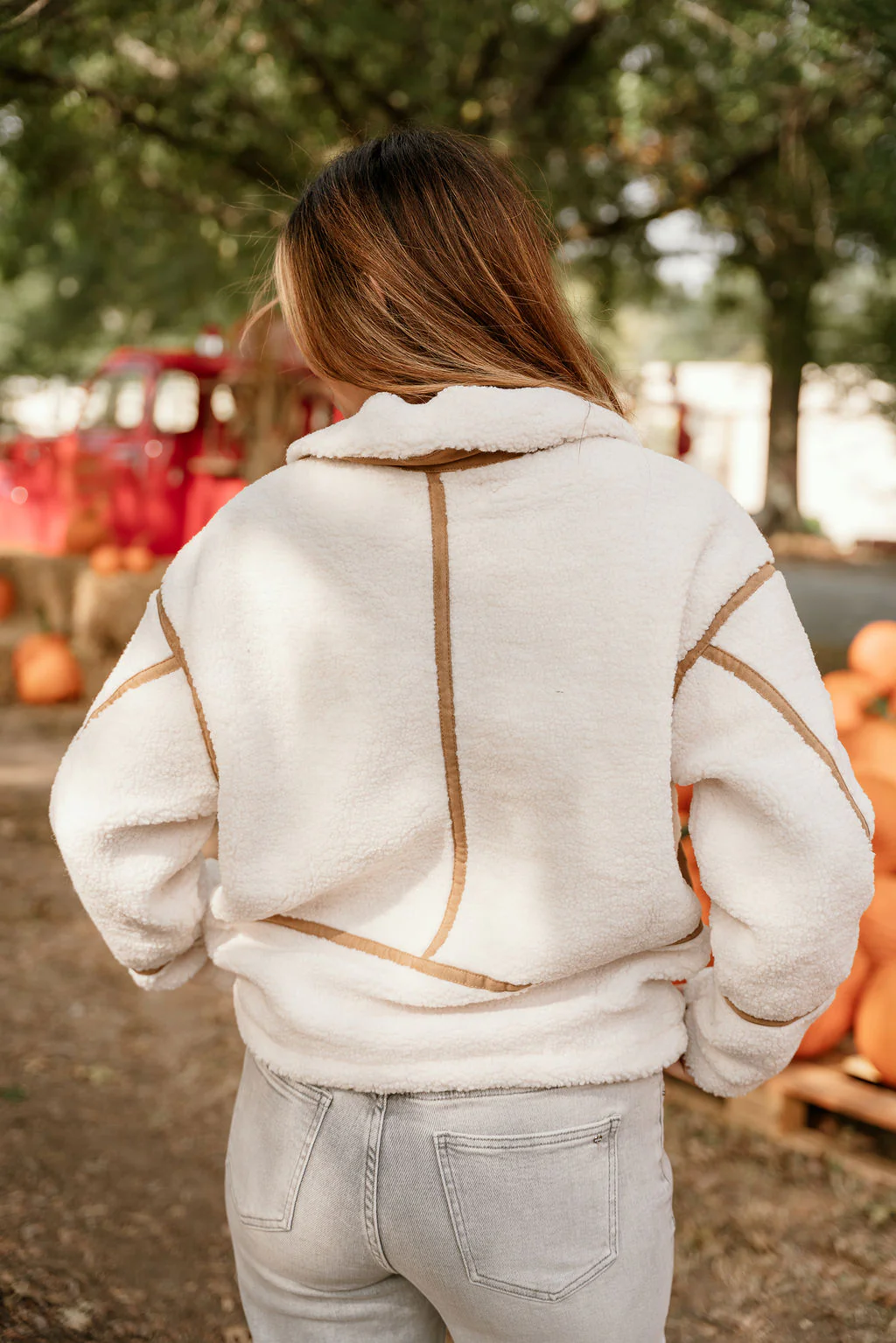 Nova Ivory Shearling & Brown Suede Jacket - Image 4