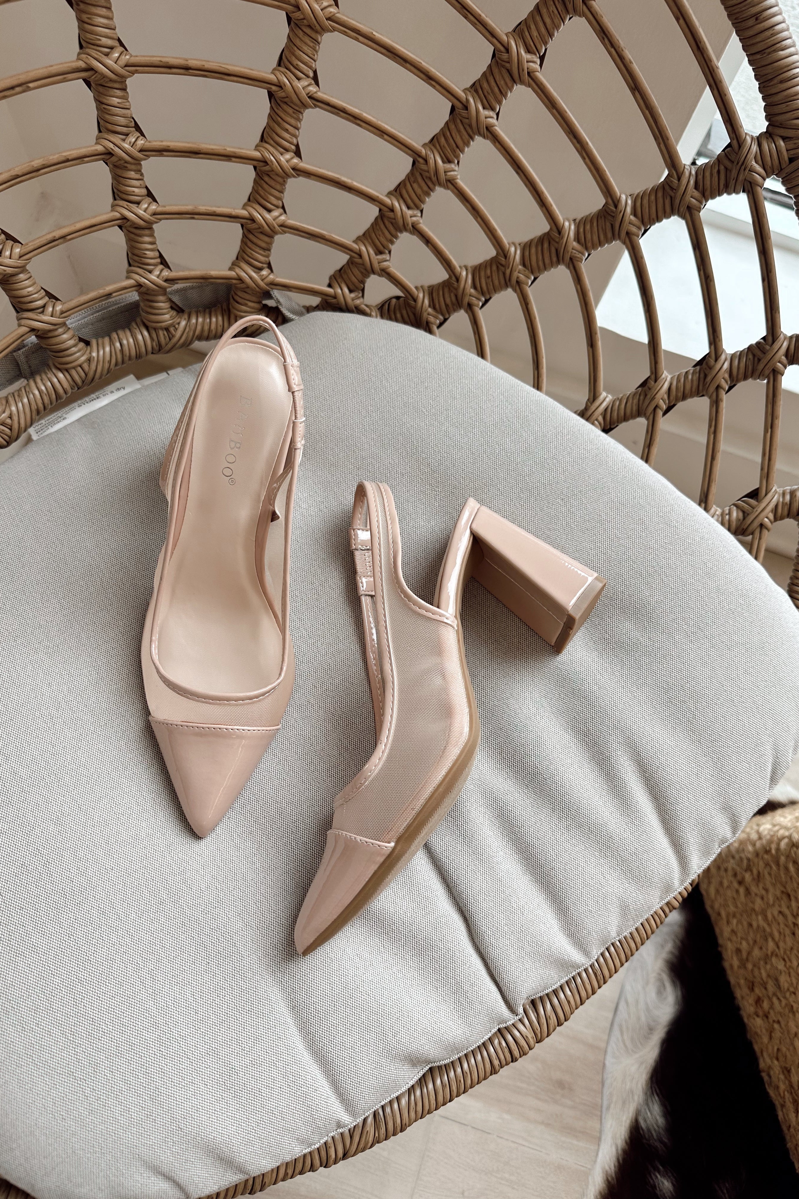 Tiffany Nude Mesh & Patent Pointed Toe Heel