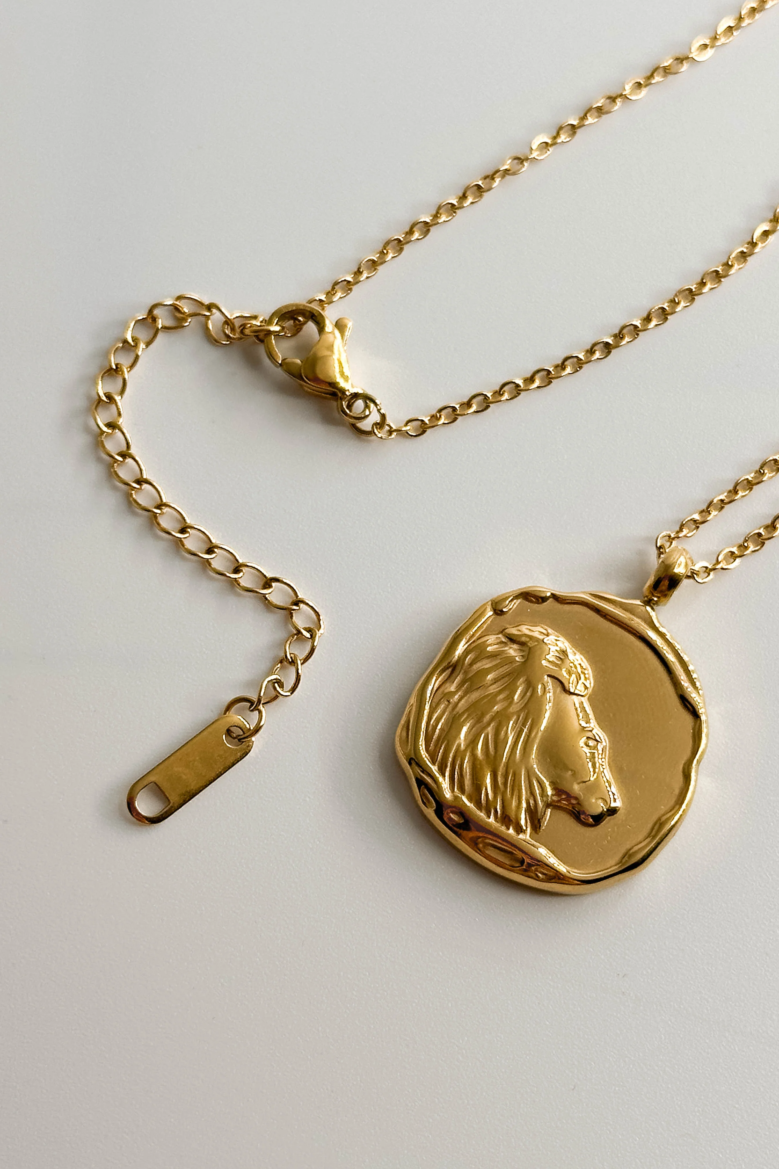 Zodiac Gold Coin Necklace - Image 12