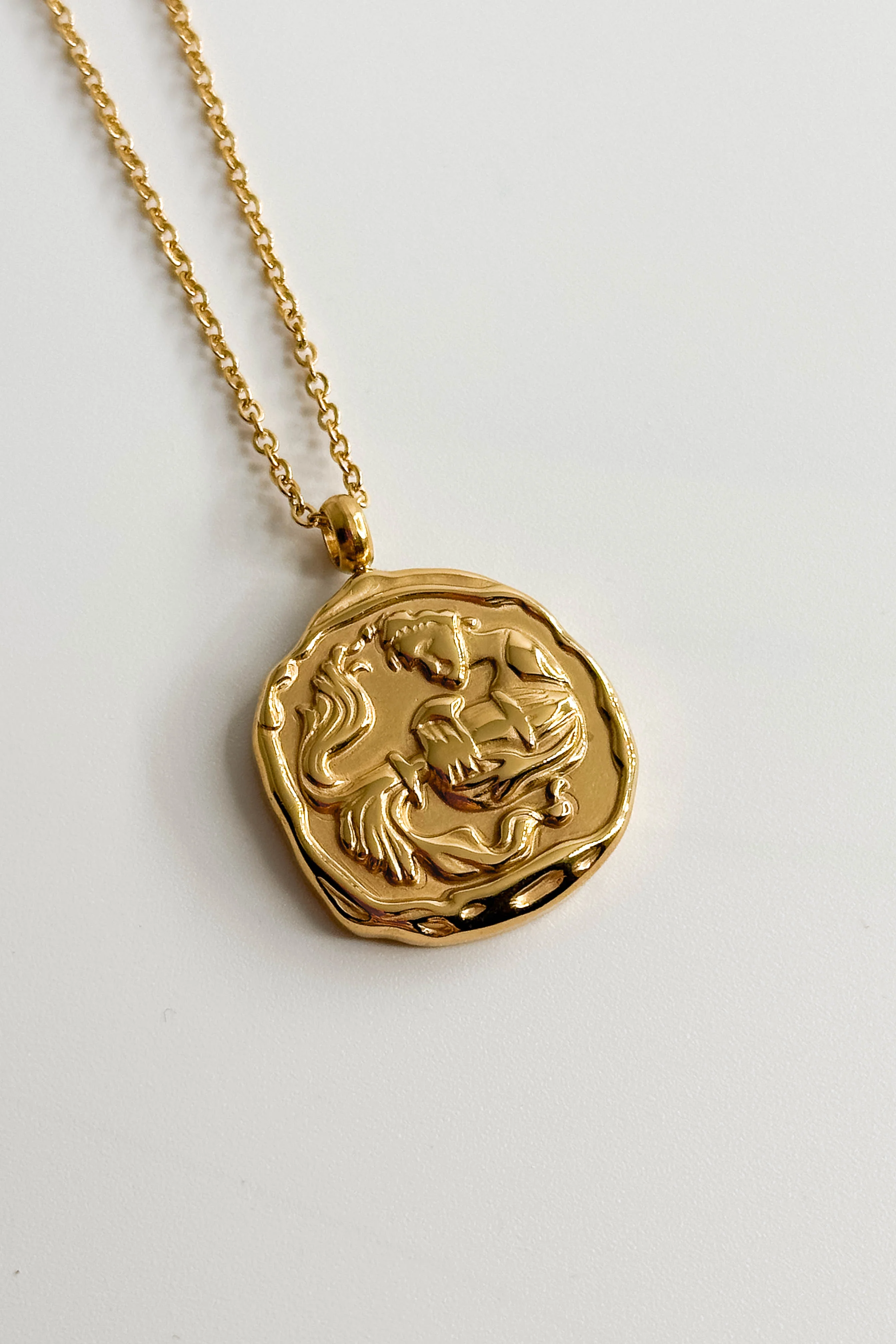 Zodiac Gold Coin Necklace - Image 23