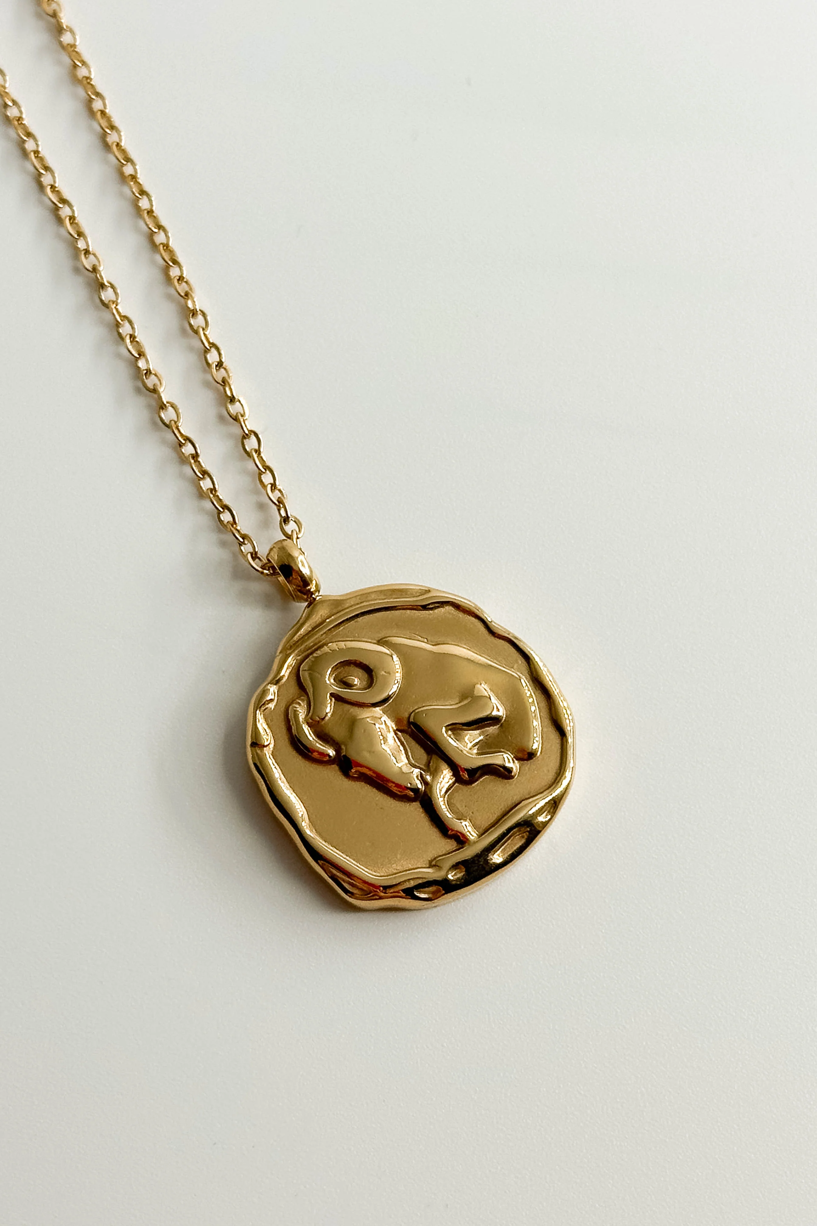 Zodiac Gold Coin Necklace - Image 3