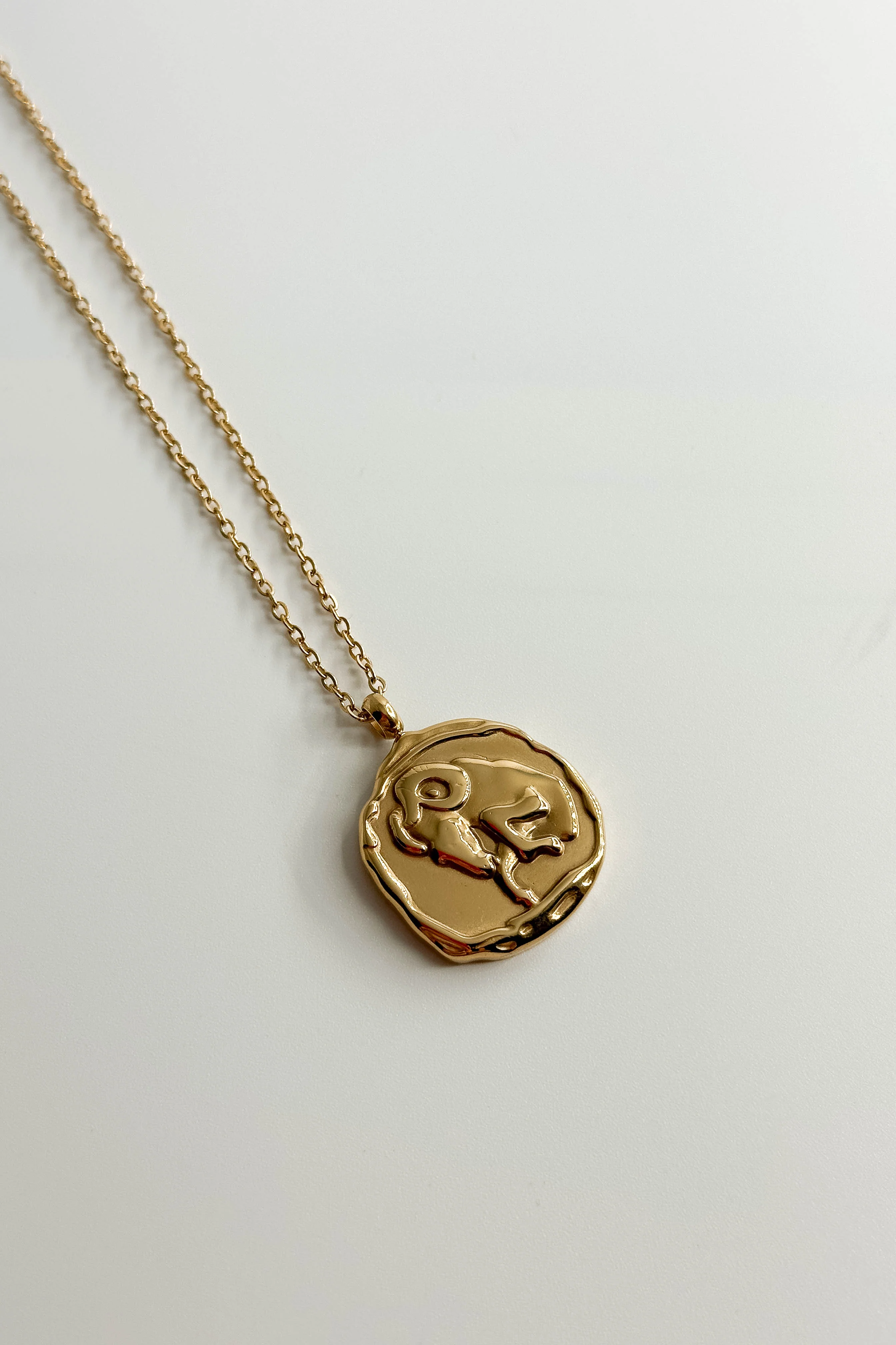 Zodiac Gold Coin Necklace - Image 4